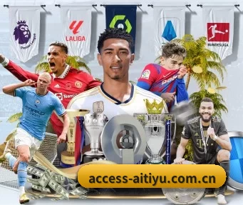 access-aitiyu.com.cn APP
